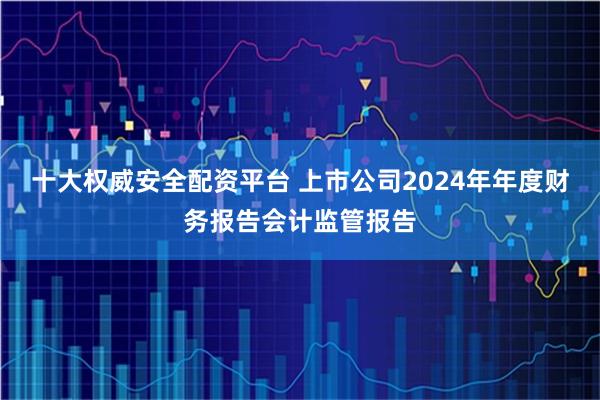 十大权威安全配资平台 上市公司2024年年度财务报告会计监管报告