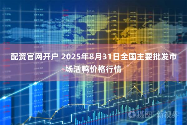 配资官网开户 2025年8月31日全国主要批发市场活鸭价格行情