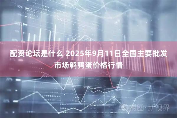 配资论坛是什么 2025年9月11日全国主要批发市场鹌鹑蛋价格行情